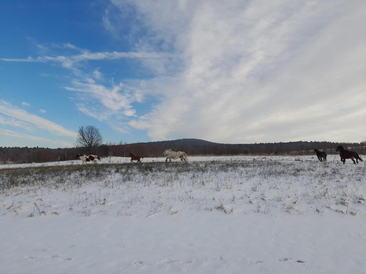 Krajno-Zagorze Agroturystyka Stylowy Pokoj W Stajniヴィラ エクステリア 写真