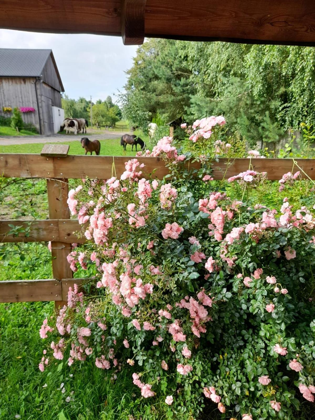 Krajno-Zagorze Agroturystyka Stylowy Pokoj W Stajniヴィラ エクステリア 写真